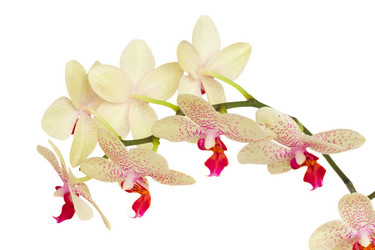 Similar image 2967462