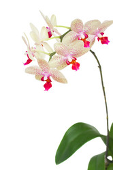 Similar image 2967463