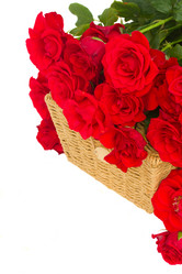 Similar image 2967475