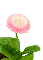 Similar image 2967485