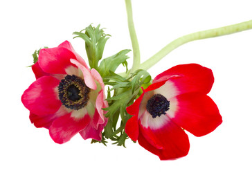 Similar image 2967486