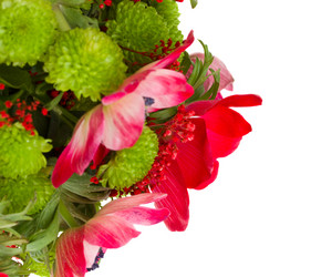 Similar image 2967488