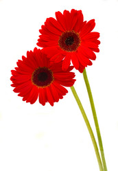 Similar image 2967490