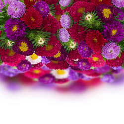 Similar image 2967501