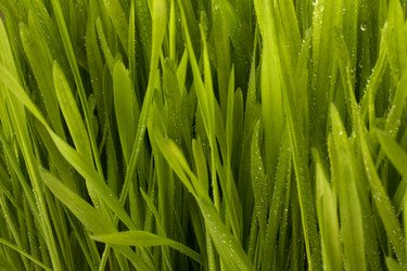 Similar image 2967512