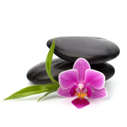 Similar image 2967534