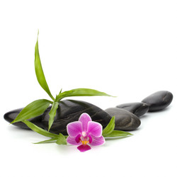 Similar image 2967540