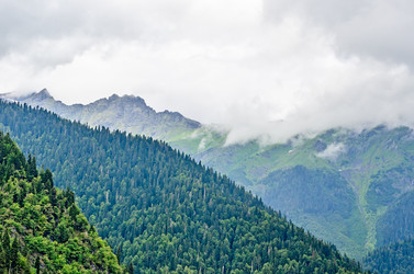 Similar image 2967577