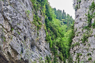 Similar image 2967590