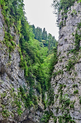 Similar image 2967591