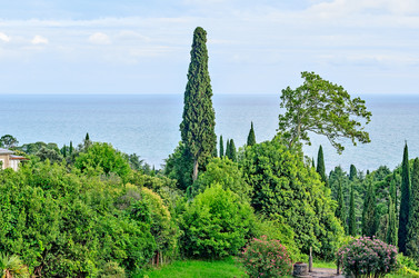 Similar image 2967594