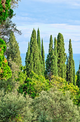 Similar image 2967603