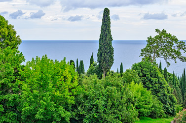 Similar image 2967609