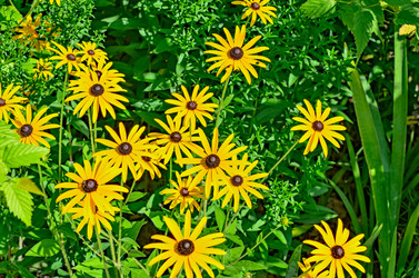 Similar image 2967633