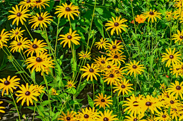 Similar image 2967644