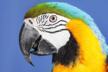 Similar image 2967657