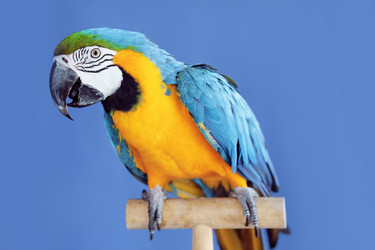 Similar image 2967658