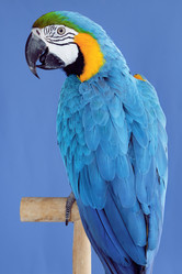 Similar image 2967659