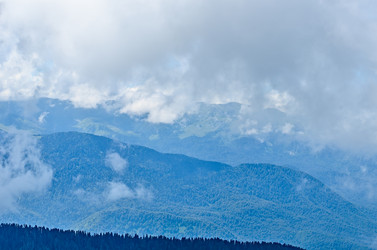 Similar image 2967670