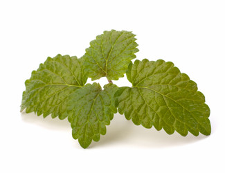 Similar image 2967698