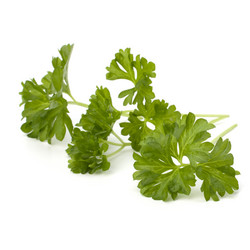 Similar image 2967702