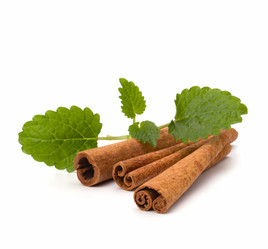 Similar image 2967714