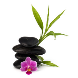 Similar image 2967737