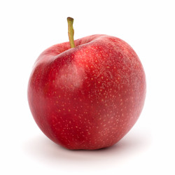 Similar image 2967771