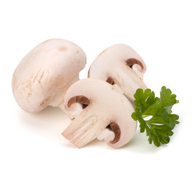 Similar image 2967794