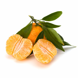 Similar image 2967804