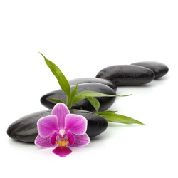 Similar image 2967807