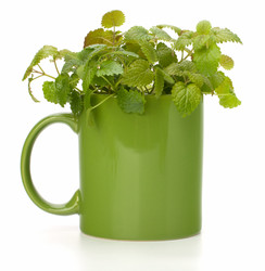 Similar image 2967829