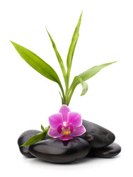 Similar image 2967840