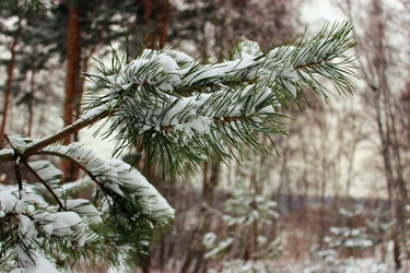 Similar image 2967871