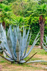 Similar image 2967915