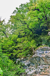 Similar image 2967917