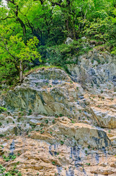 Similar image 2967920