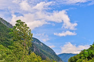 Similar image 2967926