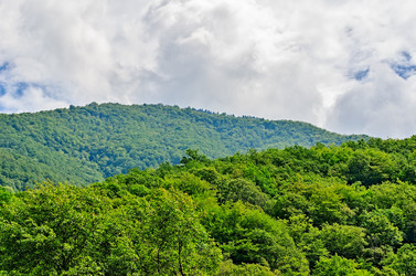 Similar image 2967927