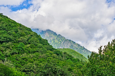 Similar image 2967928