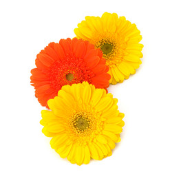 Similar image 2967982