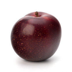 Similar image 2968020