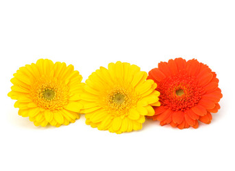 Similar image 2968022