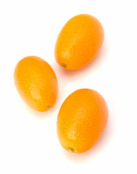 Similar image 2968032