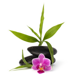 Similar image 2968044