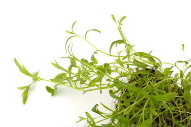 Similar image 2968049