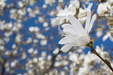 Similar image 2968075