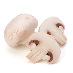 Similar image 2968095