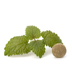 Similar image 2968113