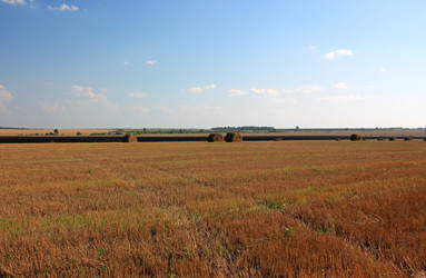 Similar image 2968159